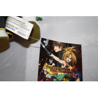 Officiële Ambition of Oda Nobuna knuffel Nobuna +/- 21cm